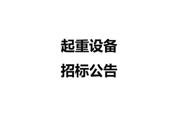 起重設(shè)備招標(biāo)公告